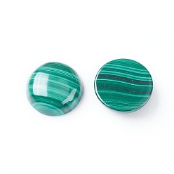 Малахит Природные кабошон малахита, полукруглые / купольные, 14.5x5~5.5 мм
