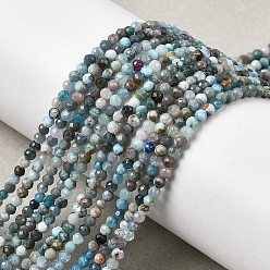 Апатит Природного апатита нитей бисера, граненые, круглые, 2~2.5 мм, отверстие : 0.5 мм, около 194~197 шт / нитка, 15.28''~15.51'' (38.8~39.4 см)