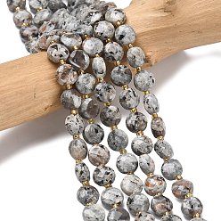 Syenite Нити из натуральных сиенитовых бусин, с бисером, граненые, плоско-круглые, 6~6.5x4 мм, отверстие : 1.2 мм, около 49~52 шт / нитка, 15.35~15.75'' (39~40 см)