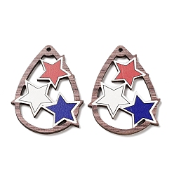 Teardrop Большие кулоны из дерева, слеза, 54.5x41.5x2.5 мм, отверстие : 2.5 мм