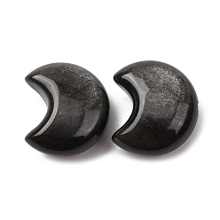 Silver Sheen Obsidian Бусины из натурального серебристого обсидиана, серп, 16.5x14x8 мм, отверстие : 1.2 мм