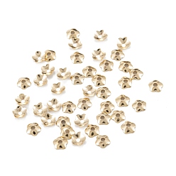 Real 14K Gold Plated 5-Petal Brass Bead Cap, Nickel Free, Long-Lasting Plated, Rack Plating, Flower, Real 14K Gold Plated, 4x1mm, Hole: 1.2mm