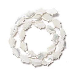 Seashell Color Natural Trochid Shell/Trochus Shell Beads, Hand, Seashell Color, 16x11.5x2.5~3mm, Hole: 0.9mm, about 25pcs/strand, 15.75 inch(40cm)