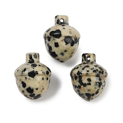 Далматинских Джаспер Природные яшмы далматин подвески, желудь прелести, 21~22x17 мм, отверстие : 1.4 мм