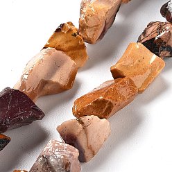 Моокаит Необработанные грубые нити натуральных бусин мукаита, самородки, 8.5~13.5x6.5~9x5~7 мм, отверстие : 0.9 мм, около 18~21 шт / нитка, 7.28''~7.87'' (18.5~20 см)