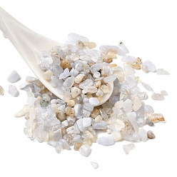 Синий Кружевый Агат Натуральные синие кружевные агатовые бусины, чип, нет отверстий / незавершенного, 1.5~1.7x1.5~5x1~2.5 мм