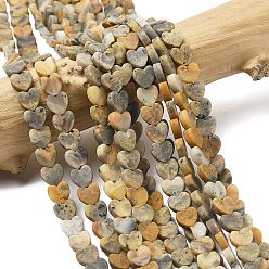 Сумасшедший Агат Природные сумасшедший агат бисер нитей, матовые, сердце, 6x6.5x2.5 мм, отверстие : 0.8 мм, около 75~76 шт / нитка, 15.12''~15.16'' (38.4~38.5 см)