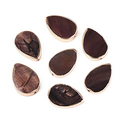 Кокосово-Коричневый Окрашенные природные пресноводные раковины, каплевидная форма с латунной окантовкой светло-золотистого оттенка, кокосового коричневый, 19.5~21x13~14x2.5~4 мм, отверстие : 0.9 мм