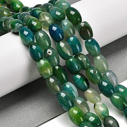 Светлый Морско-зеленый Природный агат бисер нитей, форма бонго, окрашенная и подогревом, барабан, светло-зеленый, 13~14x10 мм, отверстие : 1.2 мм, около 28 шт / нитка, 15.16'' (38.5 см)