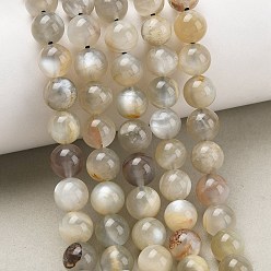 Grey Moonstone Натуральные серые бусины из лунного камня, гладкий круглый, 8~9 мм, отверстие : 0.9 мм, около 46~51 шт / нитка, 15.55'' (39.5 см) ~ 15.75'' (40 см)