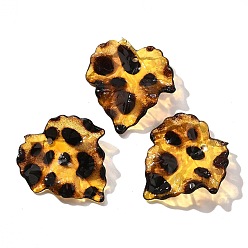 Лист Прозрачные акриловые подвески, рисунок для леопарда, лист, 25.5x23x4.5x23 мм, отверстие : 1.4 мм