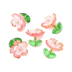 Помидор Прозрачные акриловые подвески, со стеклянными бисеринами, цветок, золотой металл обвитыми, помидор, 20.5x18x18.5 мм, отверстие : 1.8 мм