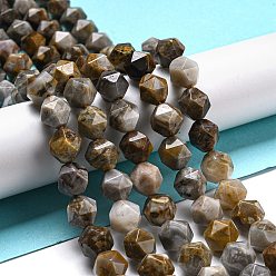 Гобийский агат Натуральные нити бусин агата, граненые бусины в форме звезды, 10x10 мм, отверстие : 1 мм, около 37 шт / нитка, 14.88''~15.16'' (37.8~38.5 см)