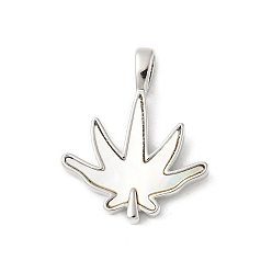 Платина Подвески из латуни с натуральными белыми ракушками, лист прелести, долговечный, без свинца и без кадмия, стойки покрытие, платина, 22x18x2 мм, отверстие : 4x2.5 мм