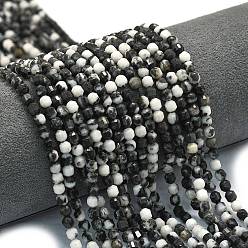 Джаспер Зебра Природные зебры яшмы бисер нитей, энергетическая призматическая огранка с двойными концами бусины, граненые двухконусные, 4x4.5 мм, отверстие : 0.4 мм, около 83 шт / нитка, 14.96 дюйм (38 см)