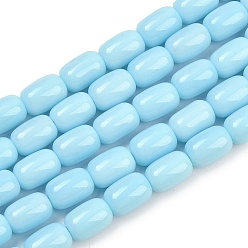 Светло-Голубой Непрозрачное стекло бисер нитей, баррель, Небесно-голубой, 9x6 мм, отверстие : 1 мм, около 43 шт / нитка, 15.28'' (38.8 см)