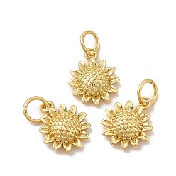 Настоящее золото 18K Подвески из экологически чистой латуни, с прыжковых колец, долговечный, без свинца и без кадмия, очарование подсолнуха, реальный 18 k позолоченный, 11.5x9x3 мм, отверстие : 3.5 мм