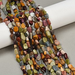 Alashan Agate Бусы из натурального алашанского агата, самородки, упавший камень, 6~11x6~8x4~7 мм, отверстие : 1 мм, около 49~51 шт / нитка, 15.35~15.75'' (39~40 см)