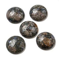 Glaucophane Натуральные глаукофановые кабошоны, плоско-круглые, 20~21.5x6~8 мм