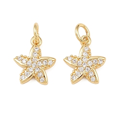 Настоящее золото 18K Латунные микропаве прозрачные кубические циркониевые подвески, морская звезда, долговечный, без кадмия и без свинца, стойки покрытие, с целью перехода в кольце, реальный 18 k позолоченный, 12x10.5x2 мм, отверстие : 3.4 мм