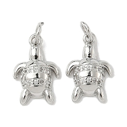 Платина Латунные микро проложить кубического циркония подвески, черепаха, стойки покрытие, долговечный, без кадмия и без свинца, с целью перехода в кольце, платина, 16x10x3 мм, отверстие : 3.5 мм