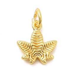 Настоящее золото 18K Латунь прелести, лист, долговечный, стойки покрытие, с целью перехода в кольце, реальный 18 k позолоченный, 12.5x11x2.5 мм, отверстие : 3.2 мм