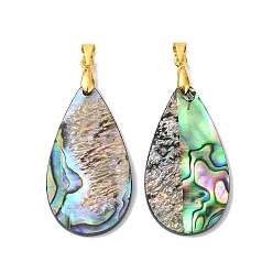 Золотой Подвески из натуральной раковины пауа/морского ушка, слезинки, с латунной найти, золотые, 42x19.5x2 мм, отверстие : 4x5 мм