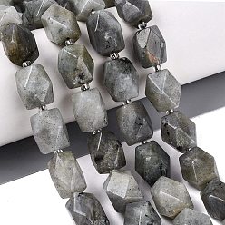 Labradorite Chapelets de perles labradorite naturelle , perles à facettes taillées en diamant, losange, avec des perles de rocaille, 13~15x11.5~13.5x11.5~13.5mm, Trou: 1~1.2mm, Environ 24~25 pcs/chapelet, 14.96~16.14 pouce (38~41 cm)