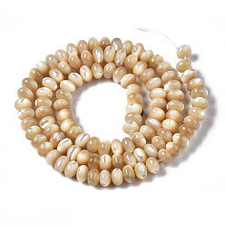 BurlyWood Natural Trochid Shell/Trochus Shell Beads Strands, Rondelle, BurlyWood, 6x4mm, Hole: 0.8mm, about 107~110pcs/strand, 15.75 inch(40cm)