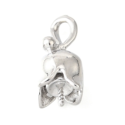 Платина Подвески из латуни с прищепками своими руками, долговечный, без свинца и без кадмия, стойки покрытие, за половину пробурено бисера, платина, 18x10x10 мм, отверстие : 4x2.5 мм