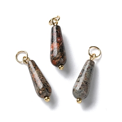 Леопардовая Яшма Натуральные шкуры яшмы из леопарда, подвески-слезинки с 304 соединительными кольцами из нержавеющей стали, золотые, 20.5~21x6 мм, отверстие : 3.5 мм
