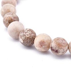 Maifanite Natural Maifanite/Maifan Stone Bead Stretch Bracelets, Round, 2-1/8 inch~2-3/8 inch(5.5~6cm), Bead: 8mm