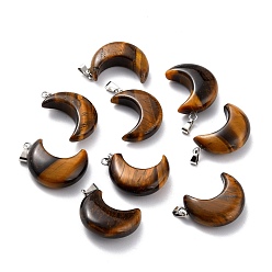 Тигровый глаз Природных тигровый глаз подвески, с петлями из платиновой латуни, луна, 29x18~21x7~10 мм, отверстие : 6x3 мм