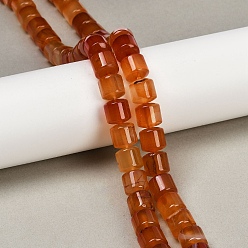 Red Agate Натуральный красный агат бисер нитей, колонка, 9.5~10x10~10.5 мм, отверстие : 0.8~1 мм, около 40 шт / нитка, 15.31~15.35'' (38.9~39 см)