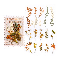 (932FM) Темно-синий аква-матовый с подкладкой Наборы инструментов для скрапбукинга осенних листьев, включая бумажные подушечки 20 шт. 10 стилей и наклейки для домашних животных 20 шт. 20 стилей., для альбома для вырезок diy, поздравительная открытка, темно-золотистые, 21~50x20~40x0.1~0.3 мм, 2 шт / стиль