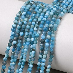 Апатит Природного апатита нитей бисера, круглые, граненые, 2.5~2.8 мм, отверстие : 0.6 мм, около 177~182 шт / нитка, 14.96'' (38 см) ~ 15.35'' (39 см)