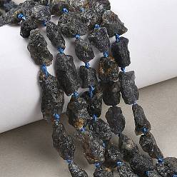 Айолит Необработанные нити из натурального иолита, самородки, 9~26x5~15x5~11 мм, отверстие : 1.1 мм, около 25 шт / нитка, 16.54'' (42 см)