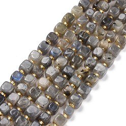 Labradorite Natural Labradorite Beads Strands, with Seed Beads, Square, 6~7x6~7x6~7mm, Hole: 1mm, about 45pcs/strand, 15.16 inch(38.5cm)~15.83 inch(40.2cm)
