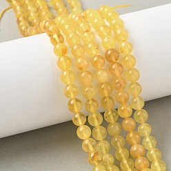 Янтарный Янтарные шарики нити, круглые, 6 мм, отверстие : 0.5 мм, около 58 шт / нитка, 13.78 дюйм (35 см)