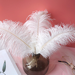 Белый Аксессуары для украшений из отбеленных страусиных перьев, для фото реквизита своими руками, фоновое ремесло, белые, 250~300 мм