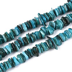 Темно-бирюзовый Естественных пресноводных оболочки бисер нитей, окрашенные, самородки, темные бирюзовый, 6~23x6~7x1.5~4 мм, отверстие : 0.7~0.8 мм, около 158~166 шт / нитка, 15.16~15.55'' (38.5~39.5 см)