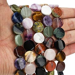 Плоский Круглый Природных драгоценных камней смешанного бисер нитей, твист, смешанные окрашенные и неокрашенные, плоско-круглые, 15.5~16.5x5.5~6.5 мм, отверстие : 1~1.2 мм, около 25 шт / нитка, 15.75'' (40 см)