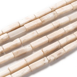 Деревянное Окаменение Природные окаменелое дерево бисер пряди, прямоугольные, 13.5~14x4x4 мм, отверстие : 1.2 мм, около 30 шт / нитка, 15.08 дюйм (38.3~41.3 см)