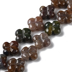 Indian Agate Natural Indian Agate Beads Strands, Flower, 13~14x13~14x5~5.5mm, Hole: 1.2mm, about 15pcs/strand, 7.95''(20.2cm)
