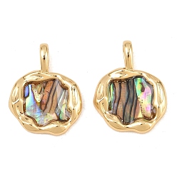 Яблоко Подвески неправильной формы из натуральной латунной раковины пауа, реальный 18 k позолоченный, яблочные прелести, 19x15x5 мм, отверстие : 3x5 мм