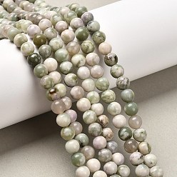Счастный Нефрит Естественный мир нефрит бисер пряди, круглые, 6 мм, отверстие : 1 мм, около 62 шт / нитка, 15 дюйм