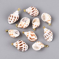 Sienna Brass & Natural Spiral Shell Pendants, Conch Charms, Light Gold, Sienna, 25~36x16~23x13~20mm, Hole: 4~5x3.5mm