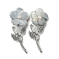 Гейнсборо Брошь из сплава с цветком и ракушкой черного цвета, с пресноводным жемчугом, античное серебро, светло-серые, 76x32x8.5 мм