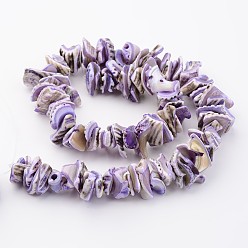 Medium Orchid Natural Shell Bead Strands, Dyed, Nuggets, Medium Orchid, 10~20x8~12x3~6mm, Hole: 1mm, about 15.7 inch