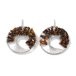 Тигровый глаз Естественно тигровый глаз большие кулоны, с платиновой и латунной фурнитурой, долговечный, без свинца и без кадмия, плоские круглые с деревом, 62x49x6~13 мм, отверстие : 7x4 мм